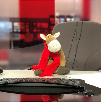 Willberry at the BBC